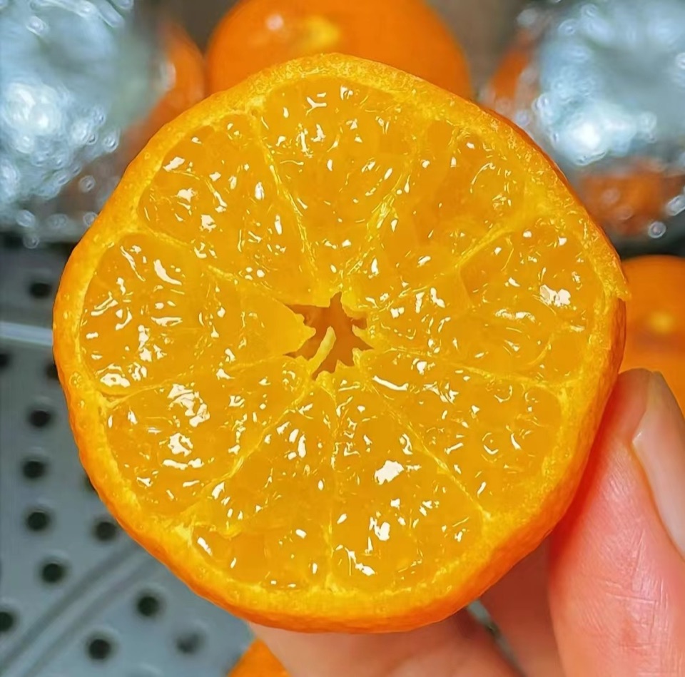 新鲜切开的春见耙耙柑果肉